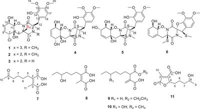Thiodiketopiperazines and Alkane Derivatives Produced by the Mangrove Sediment–Derived Fungus Penicillium ludwigii SCSIO 41408